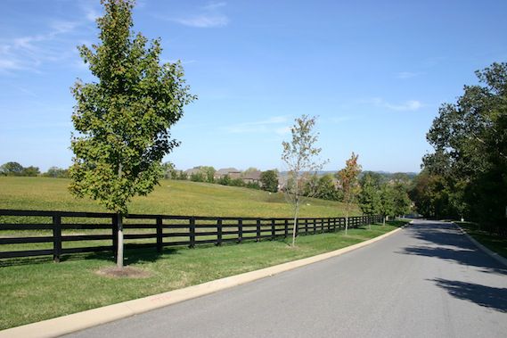 Ladd park franklin tn ford #2